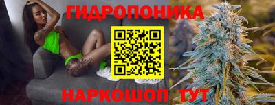 соль ск Лесосибирск
