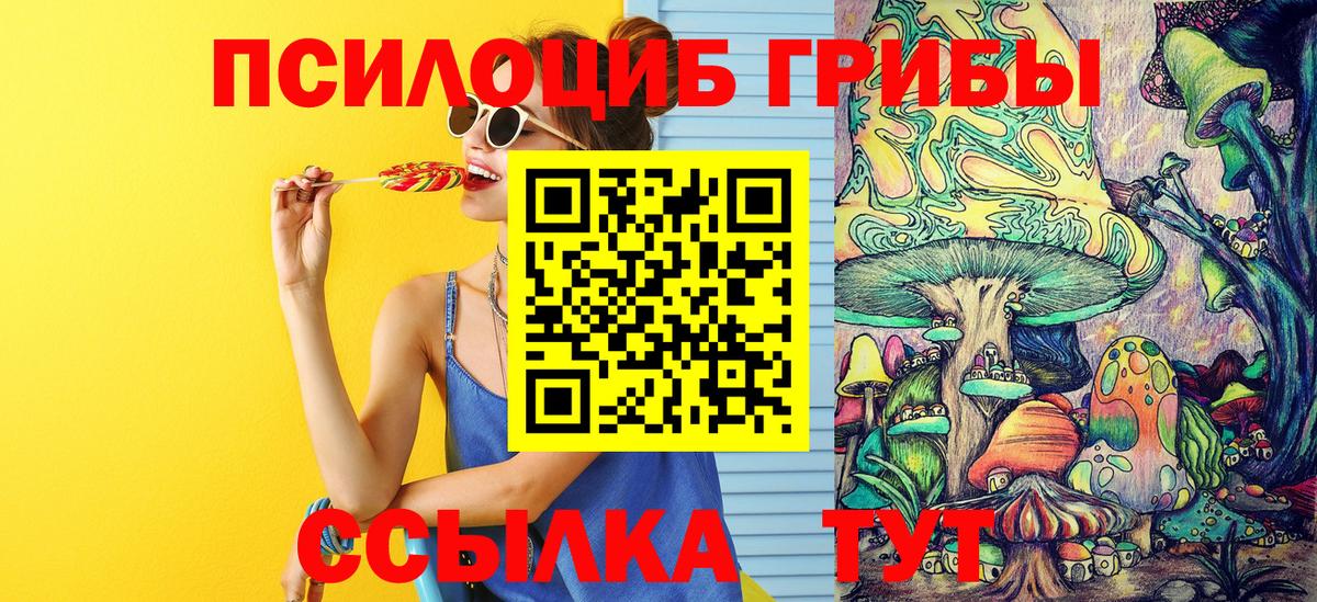 Псилоцибиновые грибы мицелий  Галлюциногенные грибы мицелий  наркошоп  Вход с VPN  Тайшет 